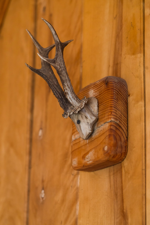 Гостевой Дом Fisherhaus
