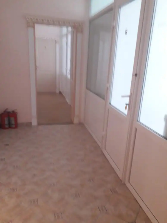 Fikus Hostel
