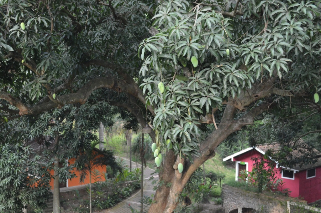 База Отдыха Campamento Río Salvaje Rotamundos