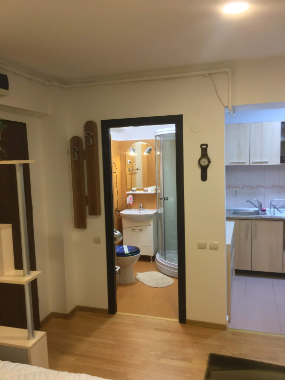 Апартаменты Studio Sinaia Mirage
