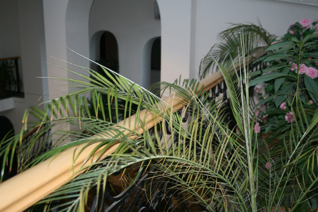 Kaffa Guest House