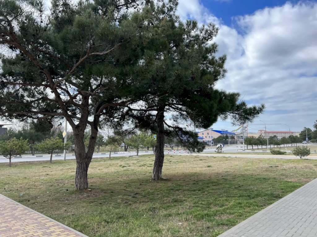 Квартира 176 с видом на море - до моря 10 мин ЖК Горизонт