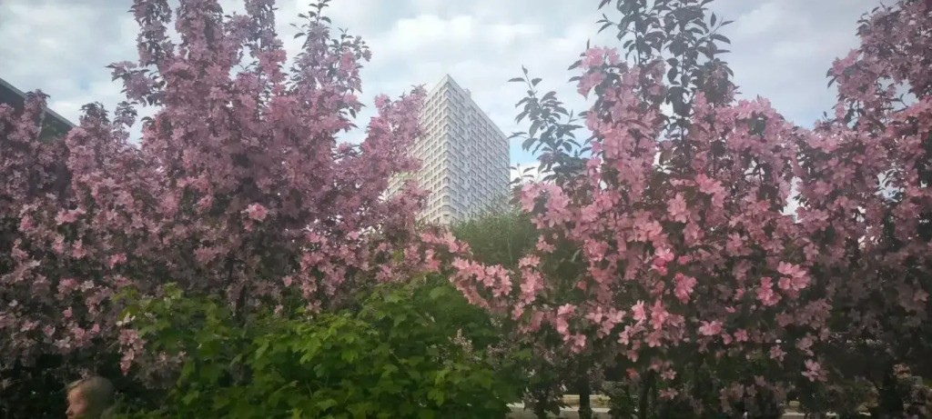 Апартаменты Видовые Трехкомнатные в Центре Города