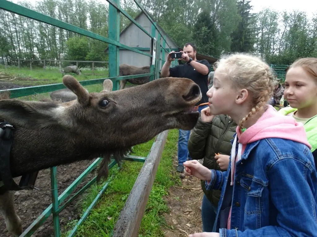 Частный дом Рыжий Кот