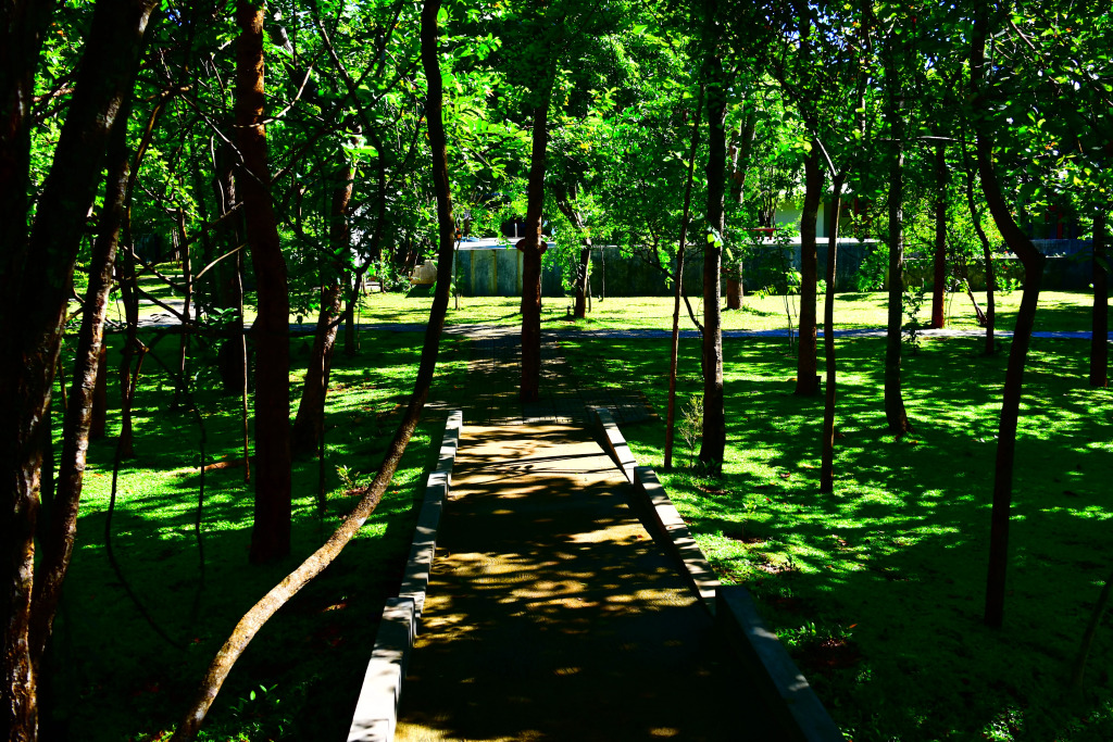 Sigiri Asna Nature Resort