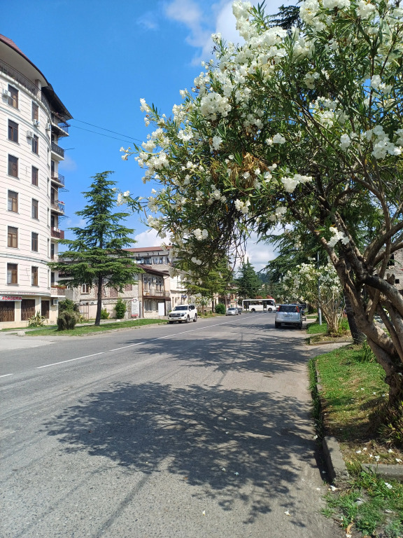Апартаменты Новый апарт-домик в самом центре Сухума