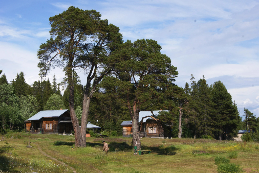 Отель Cedar Grass Белое Море