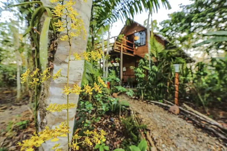 Вилла Kapievi Ecovillage