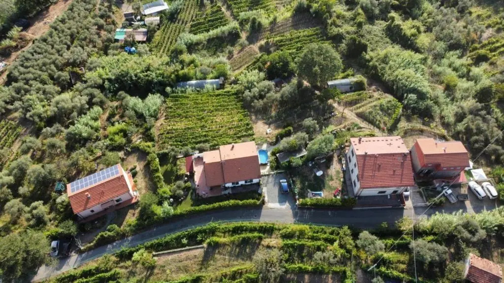 Ночлег и завтрак  In Vino Veritas 5 Terre