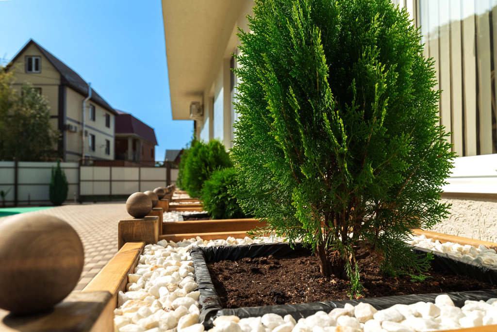 Zvyozdny Guest House