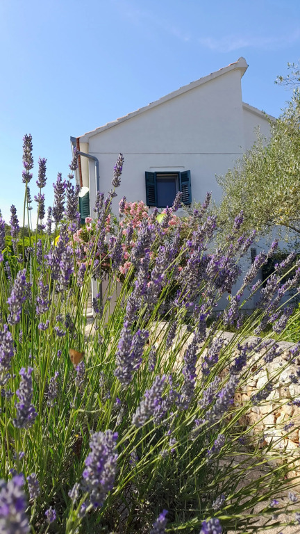 Rustic House Miketa - Family Summertime