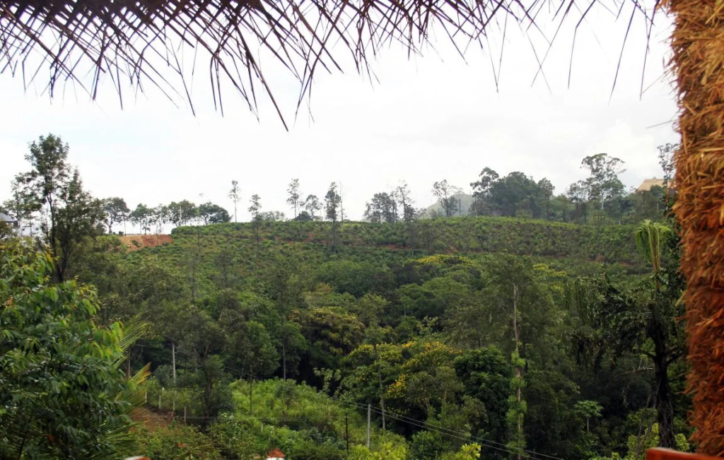 Ella Sisila View Mini-Hotel