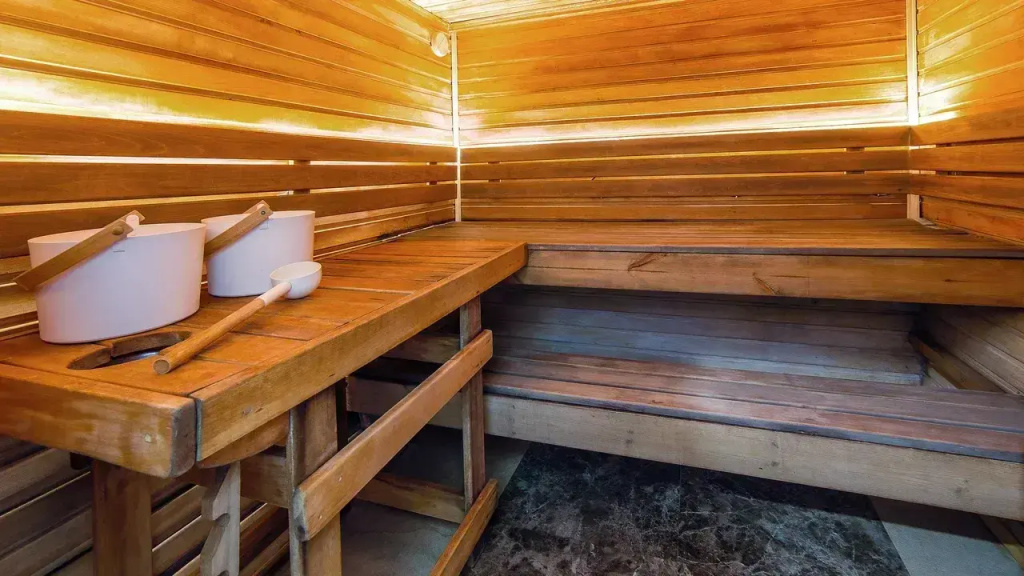 4 ★ Отель Bergs Spa and Сonference hotel