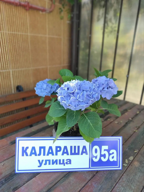 Квартира Комната для троих Пространство в Лазаревском