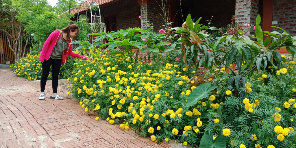 Ninh Binh Eco Garden