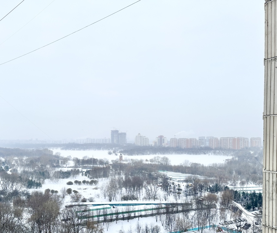 Квартира с видом на Борисовские пруды