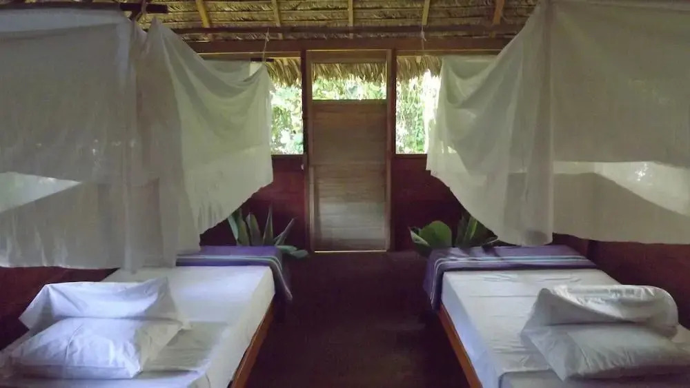 Ecolucerna Lodge Tambopata