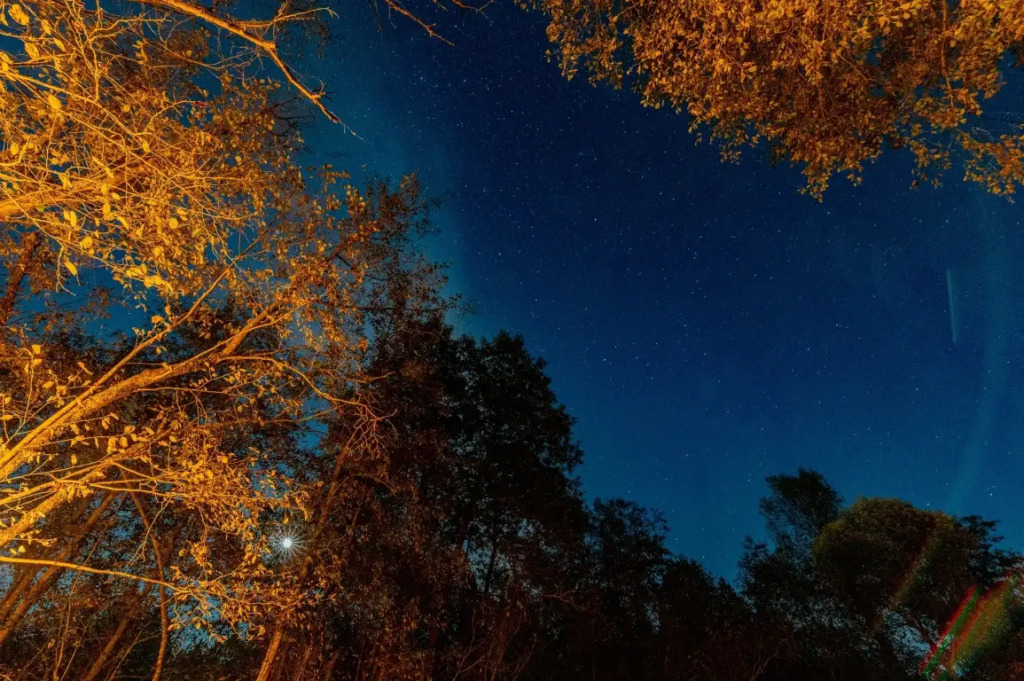 Частный Дом Афрейм с видом на лес №2