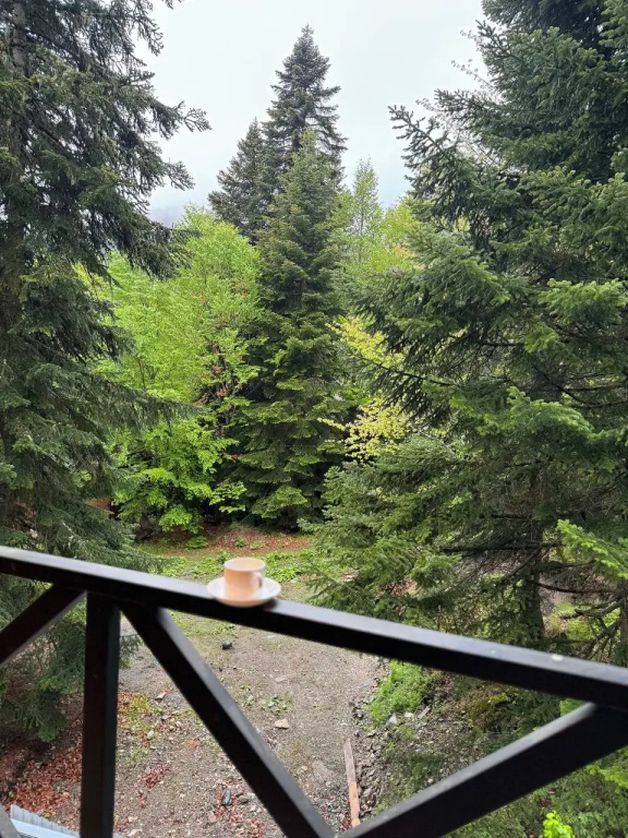 Апартаменты Green Forest Arkhyz 2