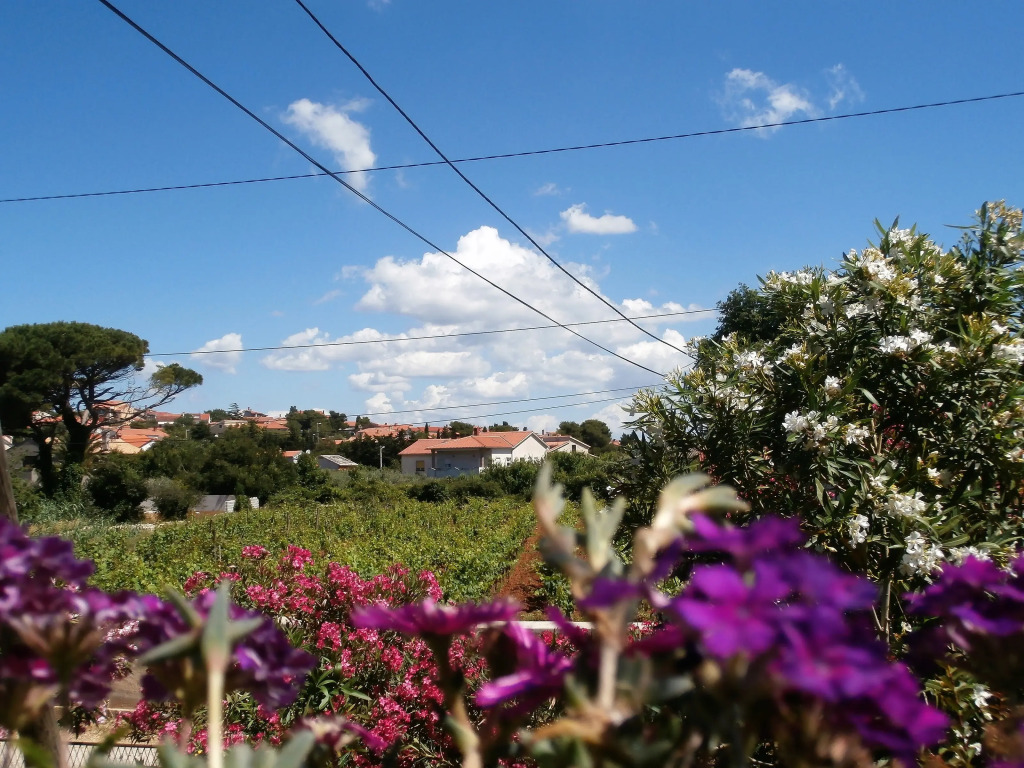 Apartment Agava Istria