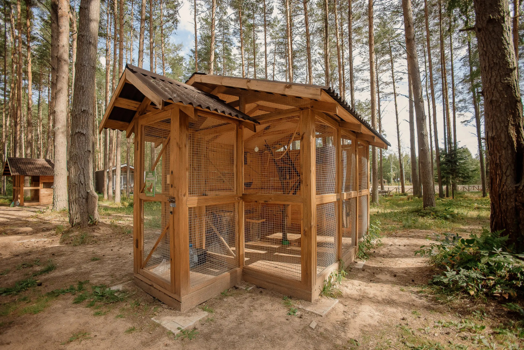 Отель Sherwood Park