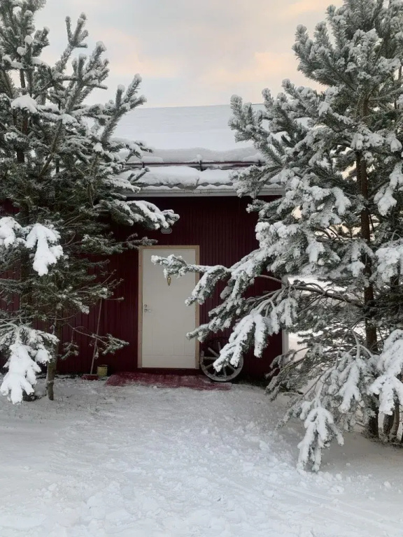 Коттедж с красивым видом из окна
