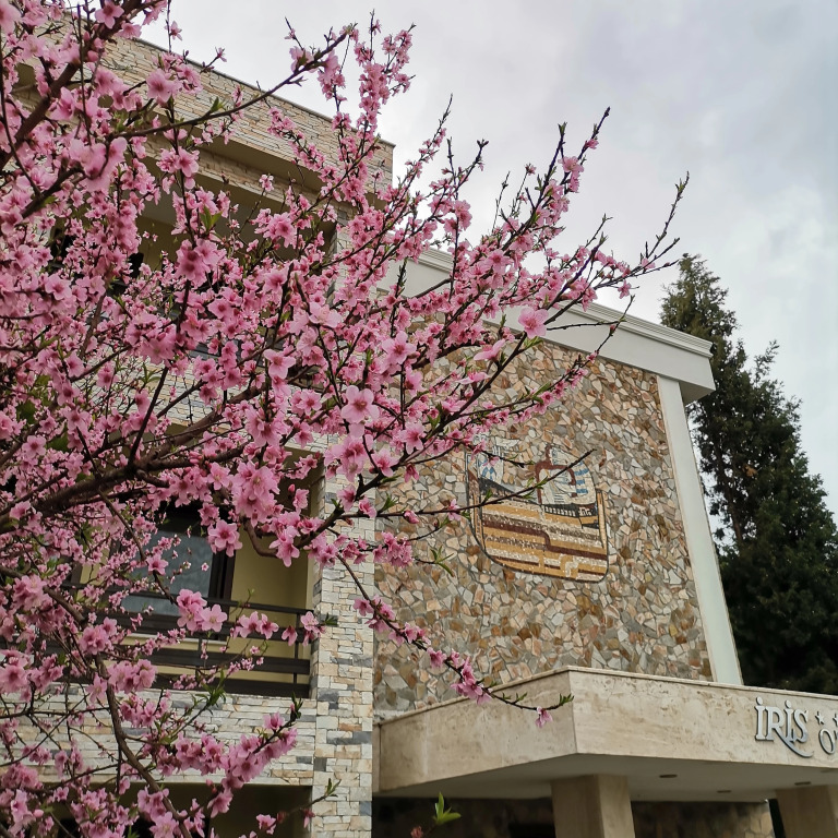 Iris Hotel & Spa