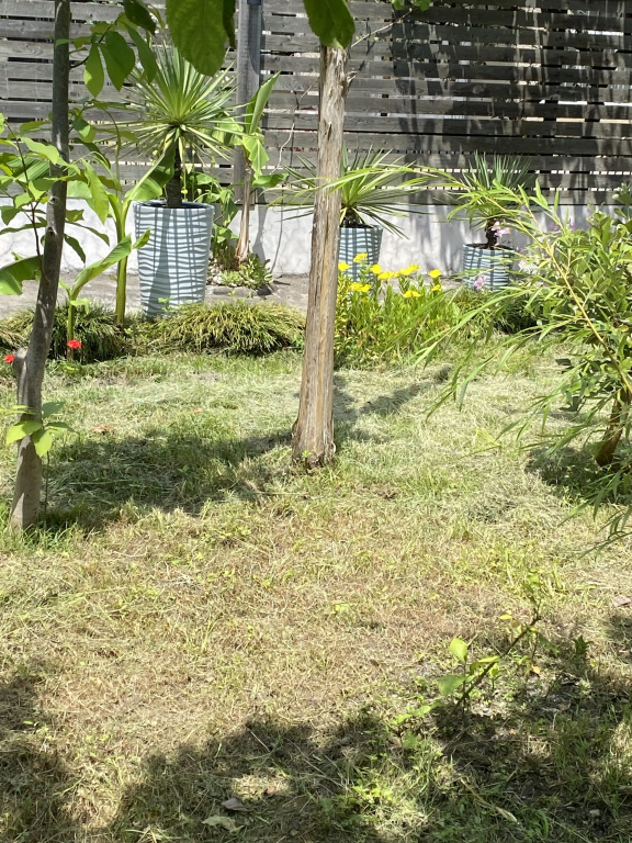 Buffalo Guest House