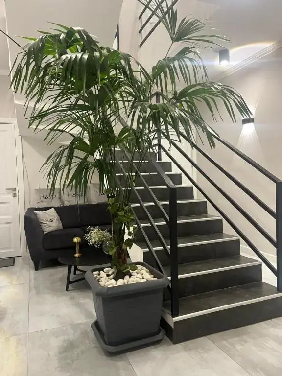 Haya Guest House