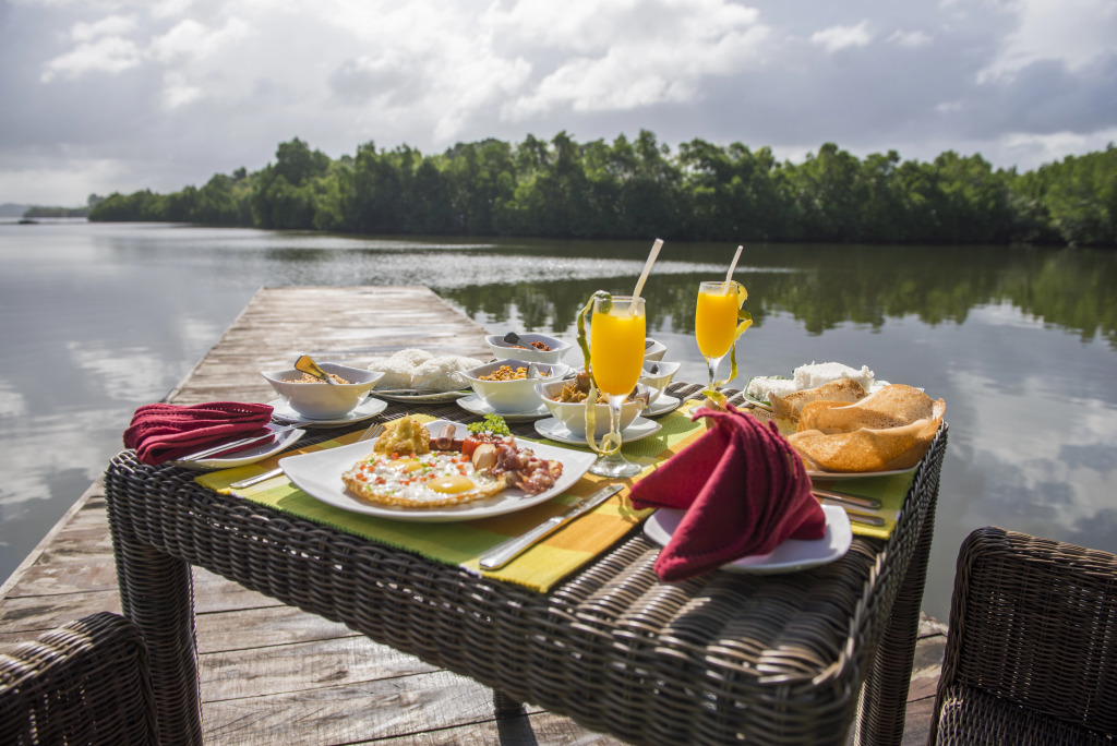 Отель Roman Lake Ayurveda Resort