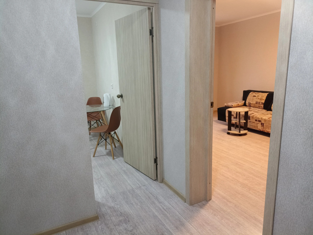 Квартира 1к на Пустошкина 22 (64)