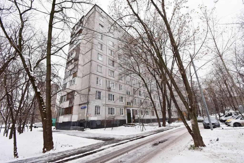 Квартира Николая Химушина