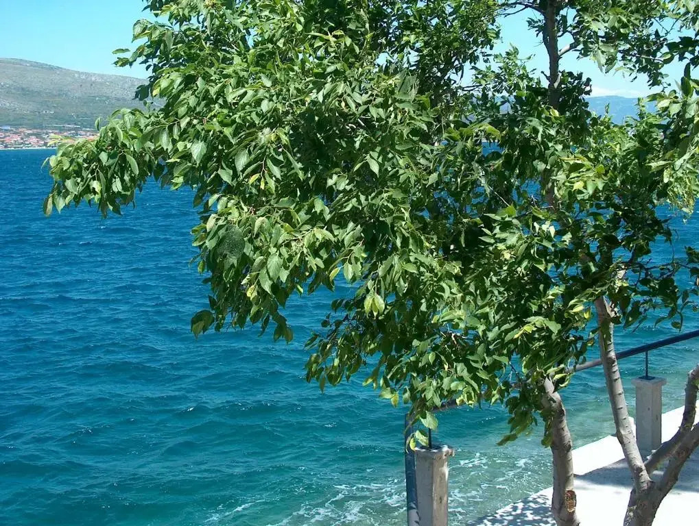 Villa Blanka