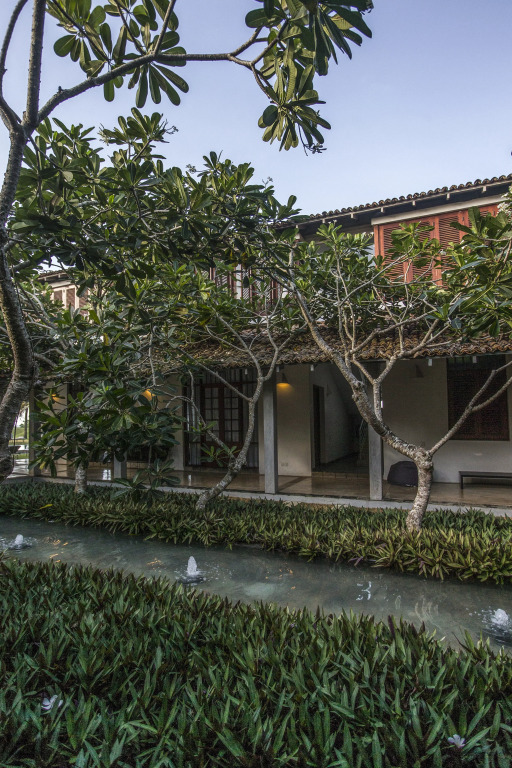 The Frangipani Tree by Edwards Collection - Thalpe