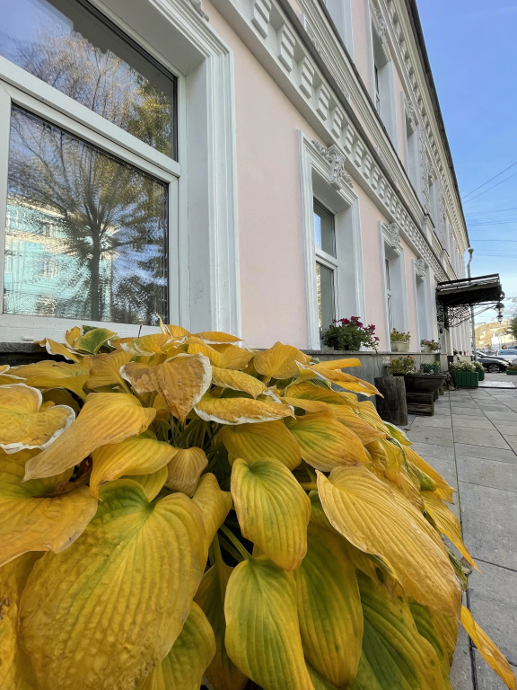 Хостел Artist Hostel на Цветном Бульваре