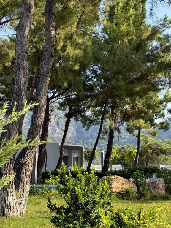 Отель Z-Villas Beach Hotel
