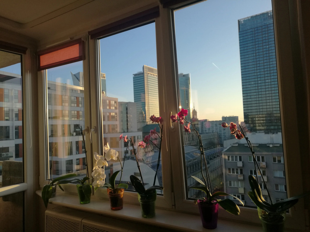Апартаменты Zielna City Center