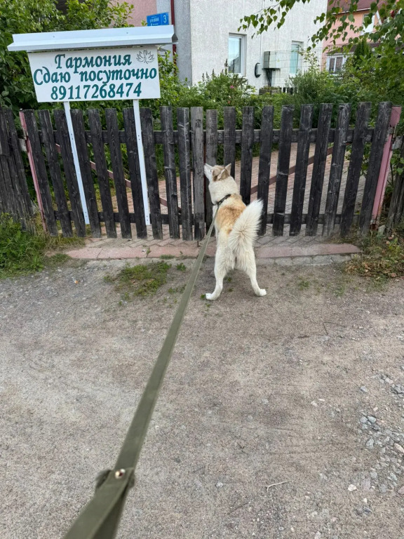 Гостевой дом Гармония