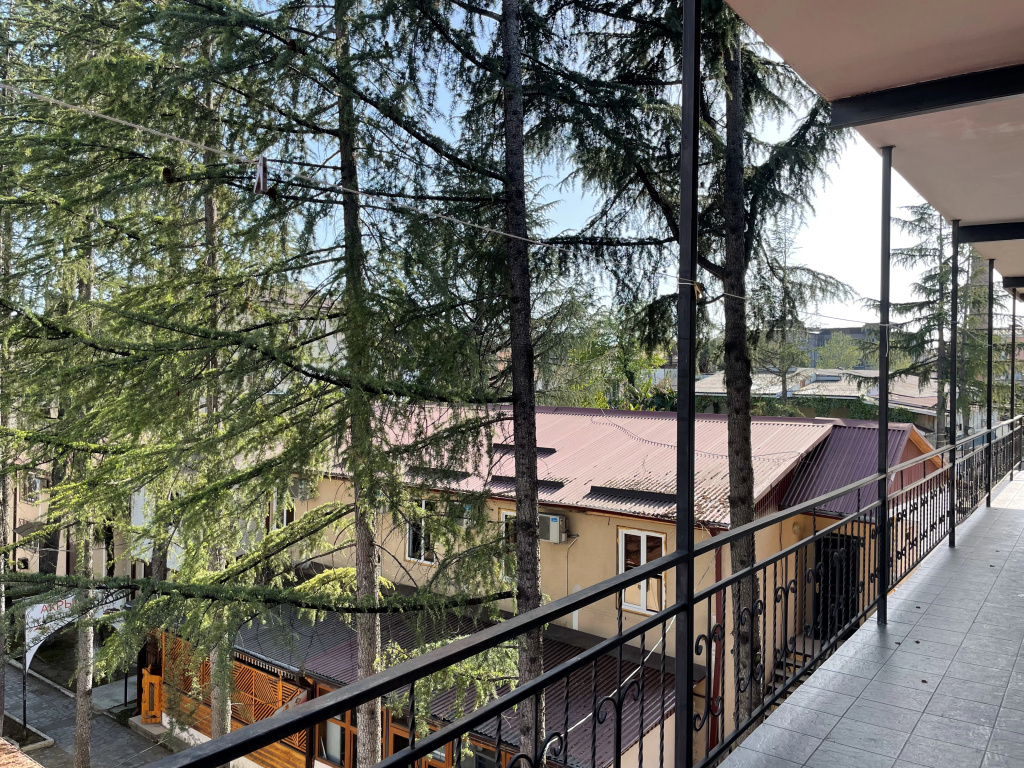 Orion Guest House