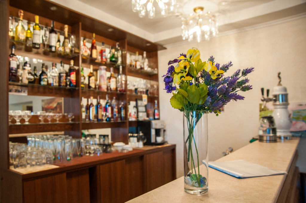 Villa Dacha Mini-Hotel