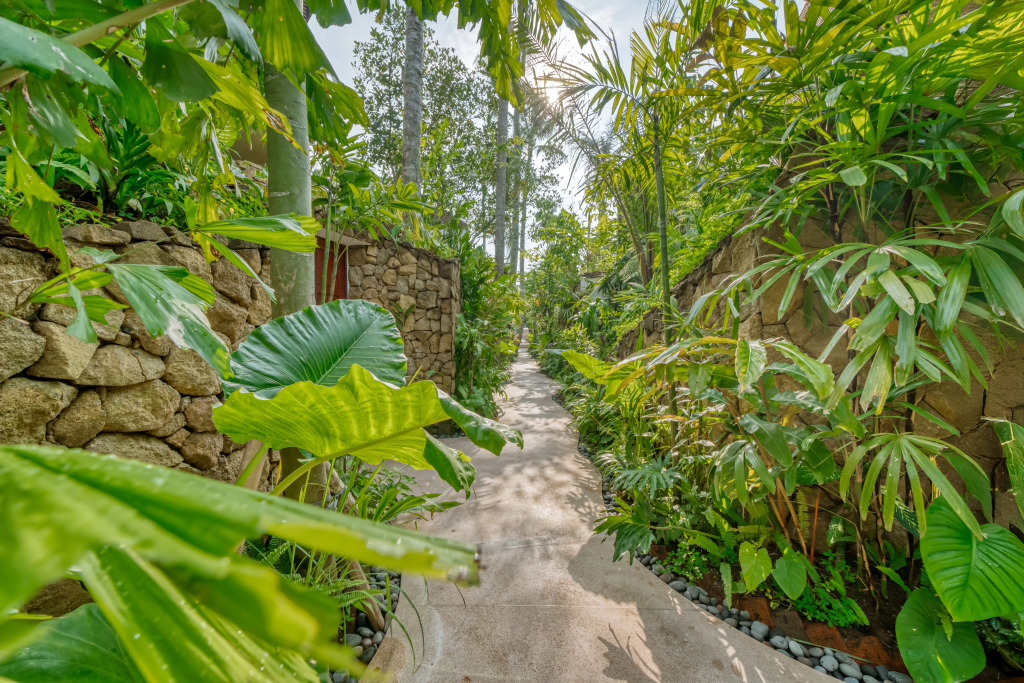 Отель Jungle Flower