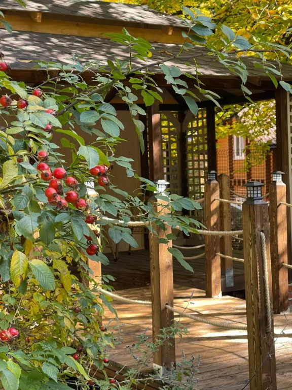 Гостевой дом Chalet Monte