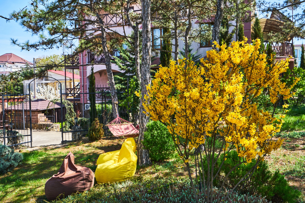 Villa Sova Guest house