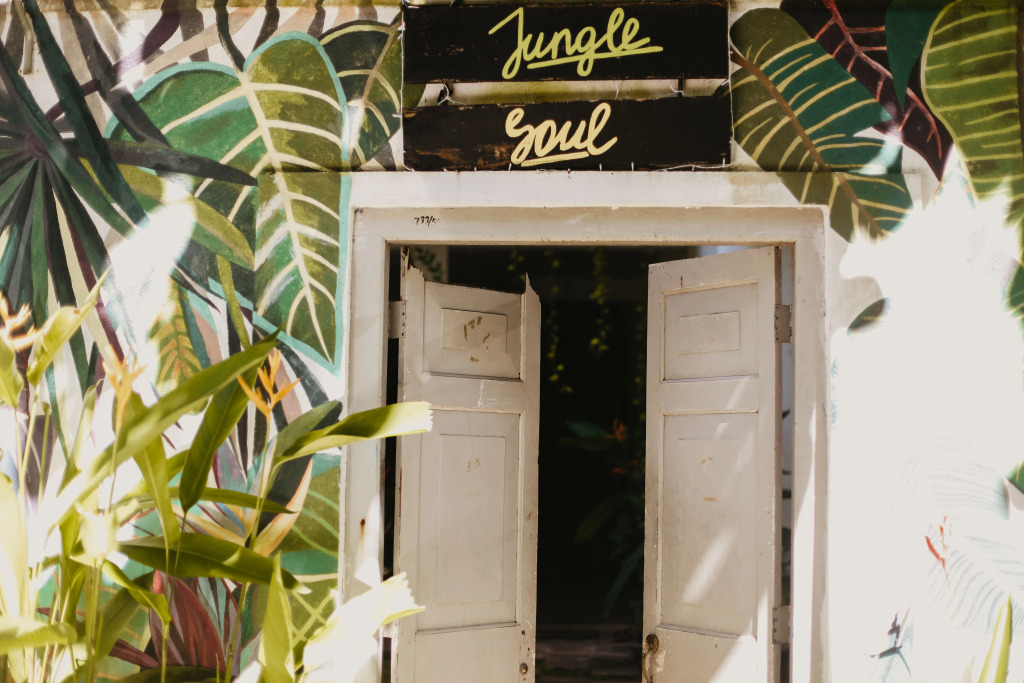 Jungle Soul