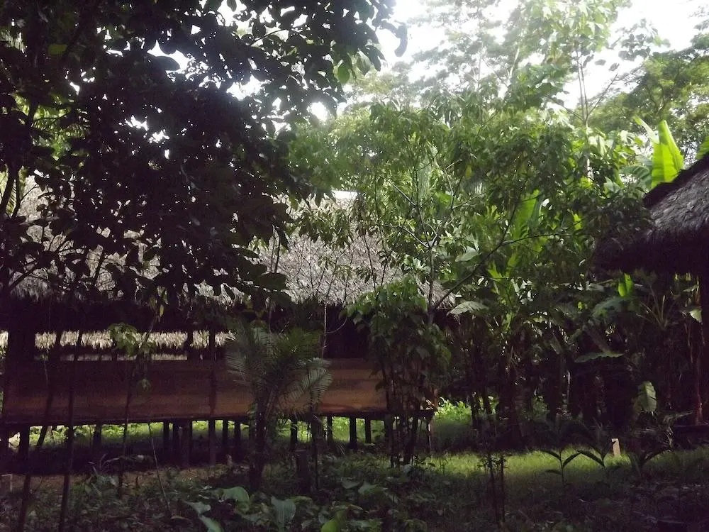 Ecolucerna Lodge Tambopata