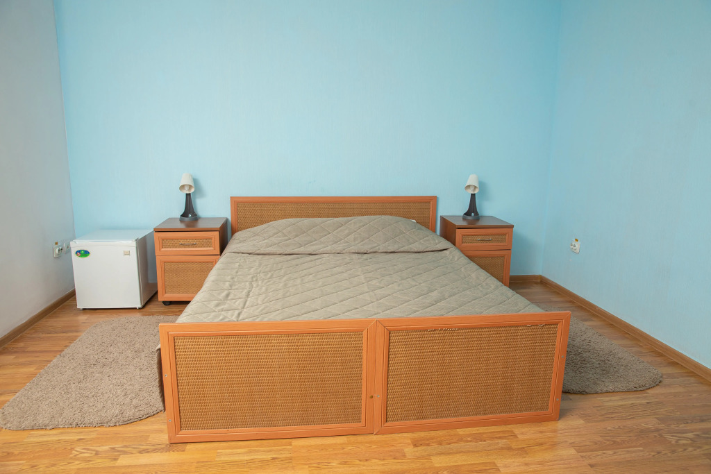 Двухместный номер Standard с красивым видом из окна (двуспальная кровать)