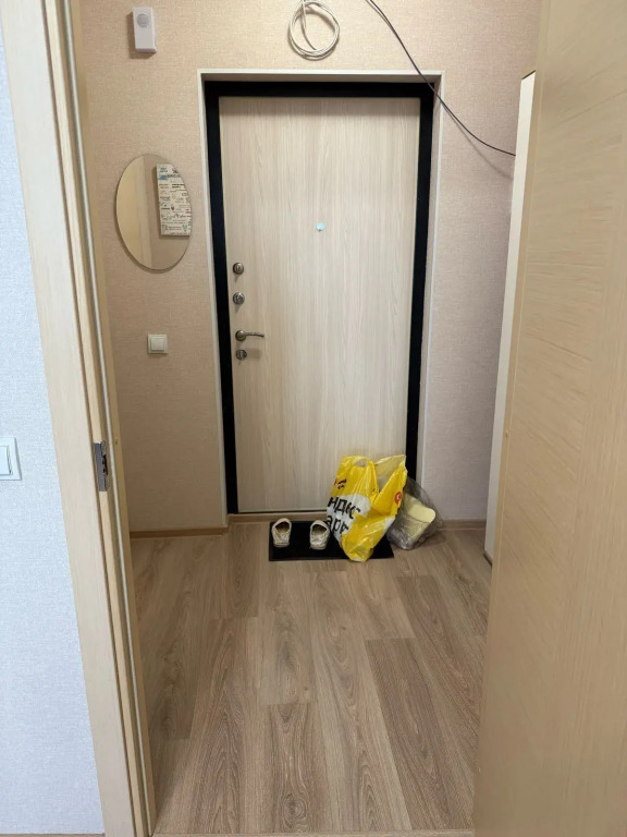 Квартира на Брюлловской 3