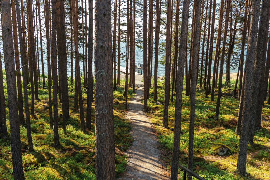 Green Club Карелия