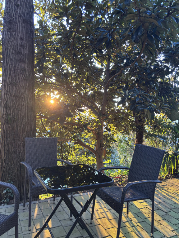 Carpe Diem Boutique Resort