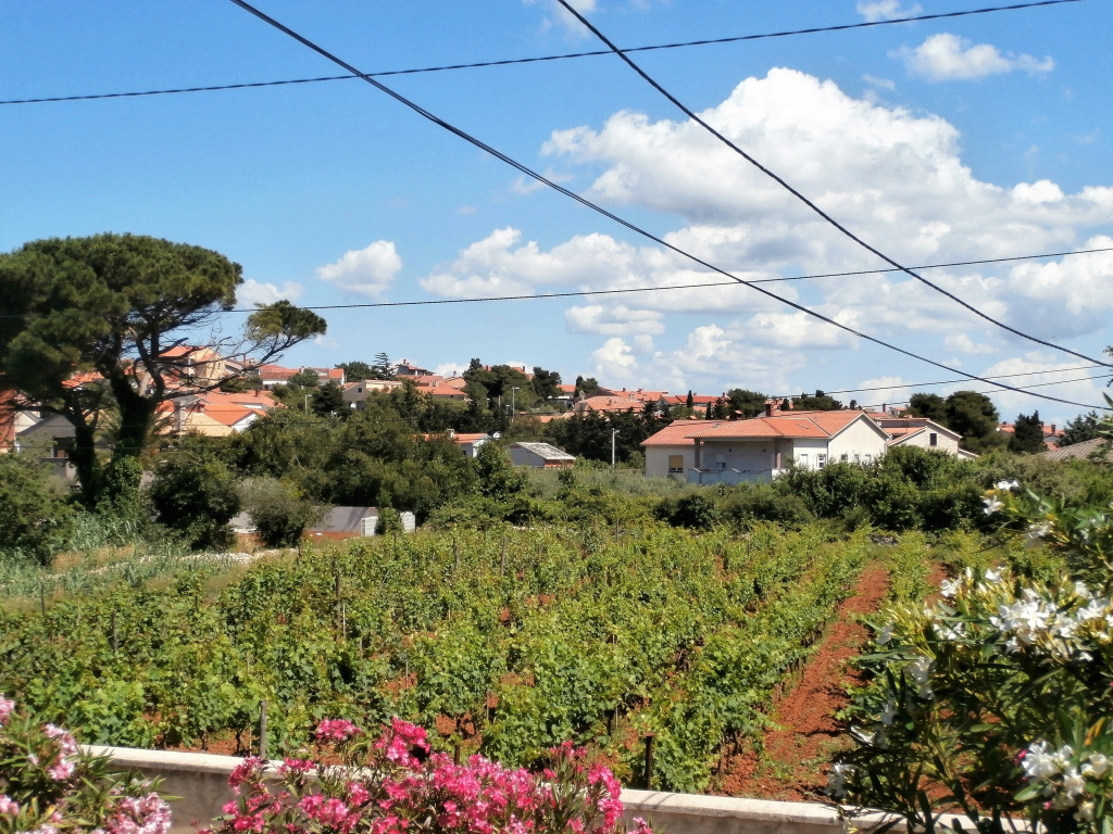 Apartment Agava Istria